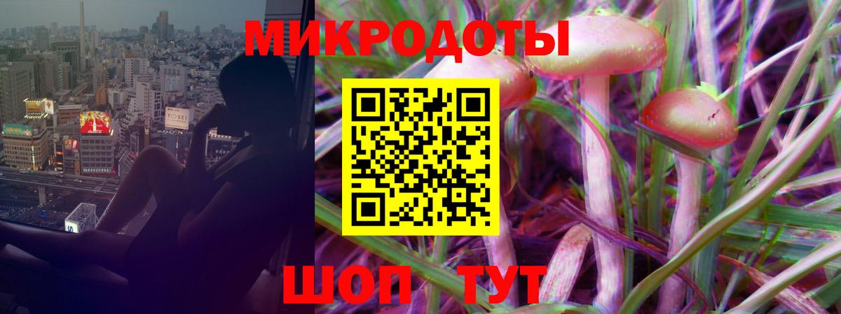 Мурино  Псилоцибиновые грибы Psilocybe  Вход с VPN 