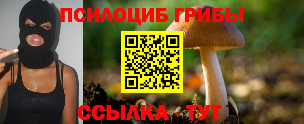Псилоцибиновые грибы Magic Shrooms Мурино