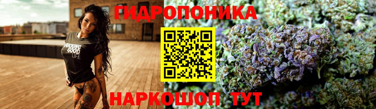 МЕФ Мурино